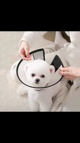 Cone E-Collar For Dog Cat Head Cover Cone Adjustable Bite Anti Collar Circle
