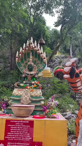 😇 #วัดถ้ําสัตบรรณคูหา #กาญจนบุรี #kanchanaburi #fypシ 