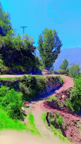 #c #1005_team 🥀❤️#pindi #TIME #forypu #foryoupageofficiall #viraltiktok #1milionviews ###2024 #2milionviews✌️💯 #sarrari_hajira_ala🎥🚩👎 #LWC #8619 #c #1005_team @U---aira🍂 @sycoo queen😇 @رضوان شبیر فخرے ہجیرہ سیراڑی @Jamil Khan Kakyzai @Ateeq Rehman kashmir @Wahid Khan @Nadeem Kashmire0 @Masood khan @abdul Rauf @Abrar Ajk406 @Alonso xabea @Anser Mehmood @Arsal Durrani276 @Aqaab khan @Amir khan @asrarkhan9191 