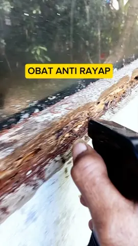 Anti Rayap Semprot #antirayap #antirayapsemprot #obatrayap #shopmaster #gilagilajualan #promoguncang99 