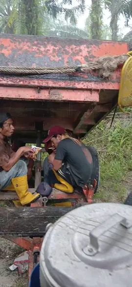 ndk m taok aran ujan gmk tuan😅#fypsasaklombok🌴 #kulisawit #anakrantau #fypシ゚viral #fypppppppppppppppppppppp 