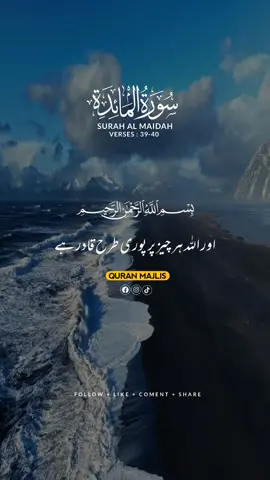 SURAH AL MAIDAH 🌺 VERSES (39-40)#islam #qurantranslationurdu #alquran #trending #fyp #unfrezzmyaccount 