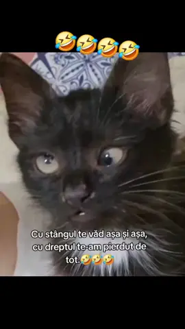 #caterinca🤣😂😂 