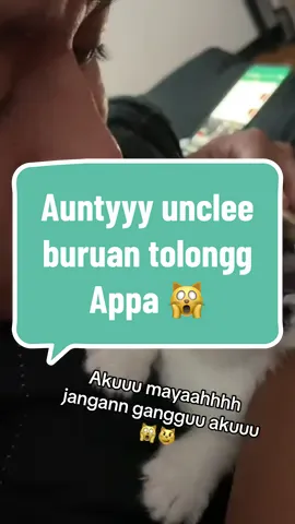 Appa udah ga kuatt digangguin oom tolonggggg 🙀 #anabul #anabulkesayangan #anakkucing 