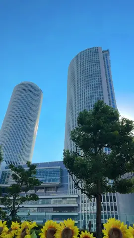 #japantiktok🇯🇵 #missyoumyfamily😢👨‍👩‍👦‍👦❤️h #vairel_video_on_tik_tok #nagoyamuser❤️ 