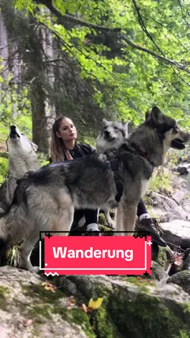 Antwort auf @karolina🌞 