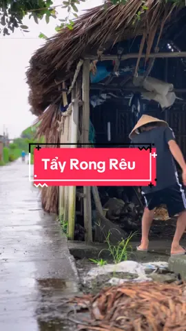 Bột Tẩy Rong Rêu Dùng Quanh Nhà , Tẩy Rong Nền Xi Măng #hienonha #bottayrongreu #bottayrong 