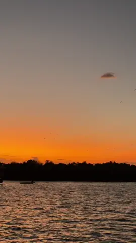 The beauty of Flores 🌞🌞 i think i just witnessed the best sunset for me at the moment. Pls dtg labuan bajo now and book sailing with trip yang i book. Tour guide dia best sgt!! So sporting!! #labuanbajo #flores #sologirltravelling #sailingtripkomodo #komodoisland #komodotrip #sunset @komodotrip_  @AirAsia #airasialabuanbajo 