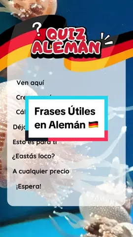 Frases útiles en alemán🇩🇪 ¿Aciertas todas? 🤔 #aprenderaleman #hablaralemán #deutsch #lernedeutsch #quiztime #quizchallenge #palabrasalemanas 