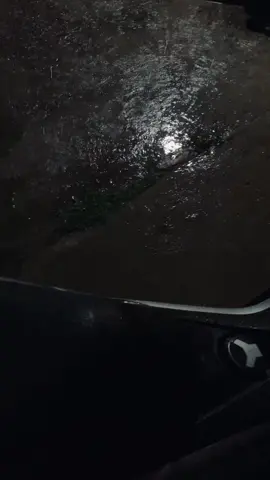 🥀🥀🥀cerita dong,kenapa gak seberisik dulu,?🙃 #tiktokimpact #mentahansheky #kuningan #kuninganjawabarat #kuninganpride🏴‍☠️ #mentahan #mentahanvideo #mentahanlirik #mentahanslime #beranda #hujan🌧️ #hujan #hujanvibes #vibeshujan #gamon #sadvibes🥀 #djvu #vibesmalamhari #malam 