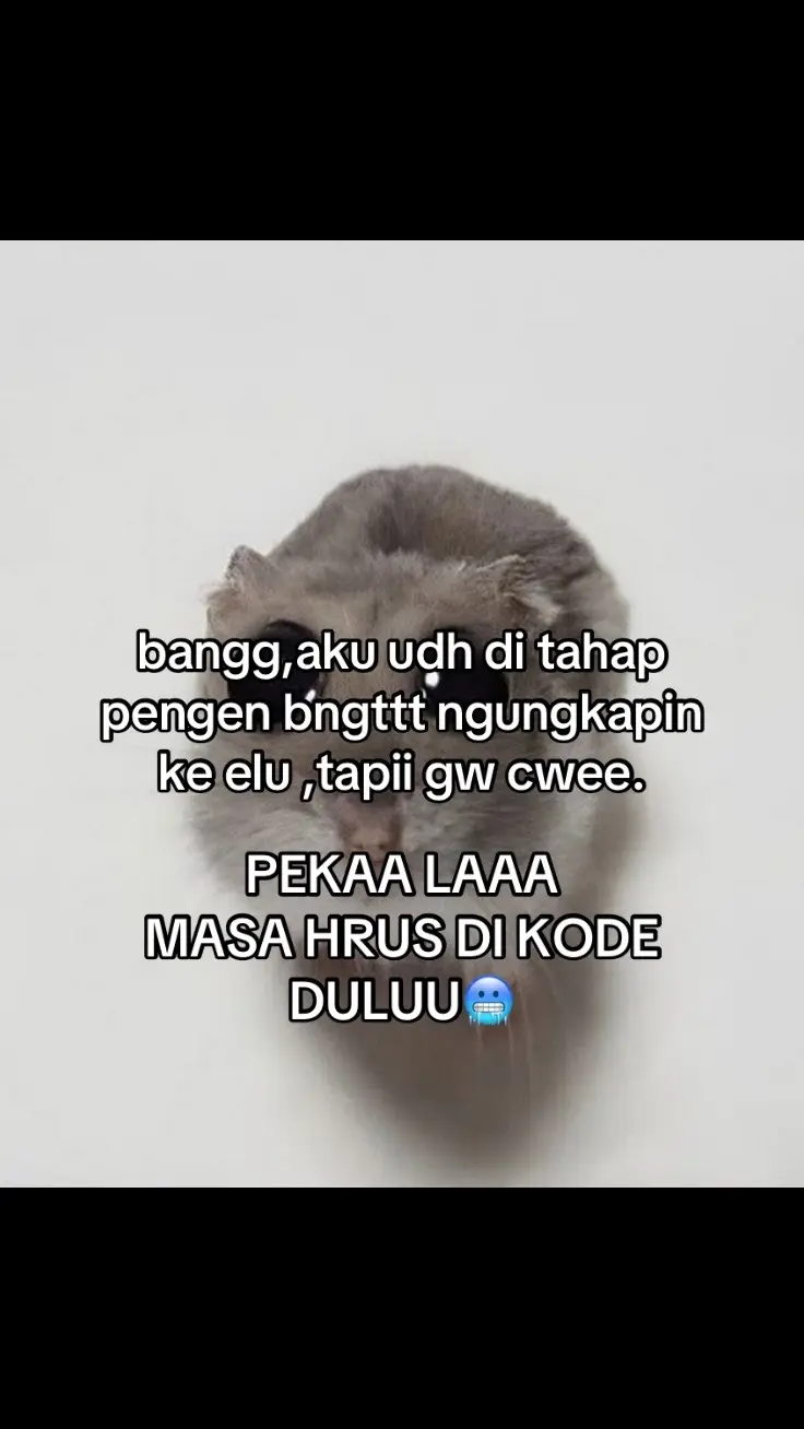 bg? #fyp #bismillahfyp #foryoupage #4u 