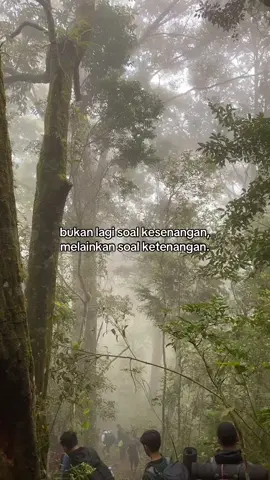 #foryou #treanding #xyzbca 