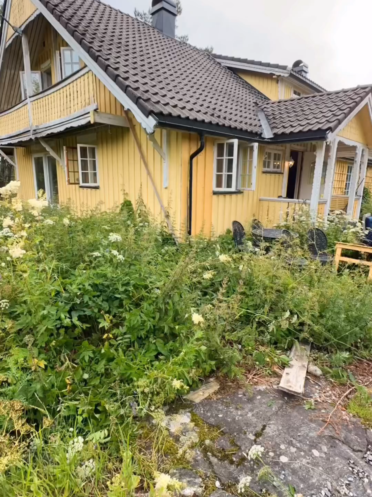 Now that's a real transformation! 👏 (IG🎥: @no.bolig) #Unreel #Extreme #landscapinglife #Satisfying #Cleaning