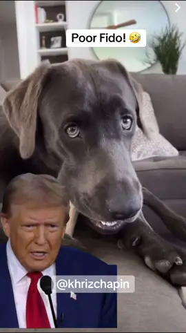 #eatingthedogs #eatingthepets #lol 