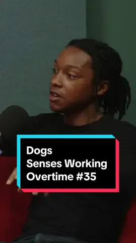 Just switch the dogs with Connecticut @Senses Working Overtime @Joshjohnsoncomedy 