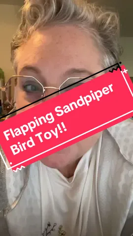 #sandpiper#flapping#flappingbird #sofun#cats#catsoftiktok#singlecatladies#funforcats#fun#silly#kitten #fyp#fypage