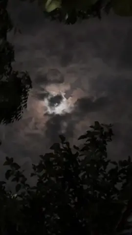 كان السبب الدائم خلف هدوئي، صبري، قوّتي، اتزاني، هو استشعار وجود الله معي، أنيس طريقي، حبيب قلبي، نور وحشتي 🙏❤️ #capcut #viral #fypシ #fyp #foryou #يارب 