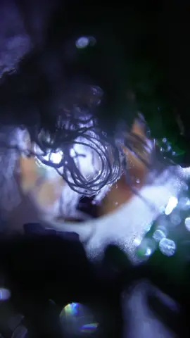…did i take this one too far? how’s the relaxing-to-horrifying ratio? 🥴 #asmr #asmrtunnel #halloweenasmr #asmrlighttriggers #creepyasmr #asmrspiderweb #visualasmr 