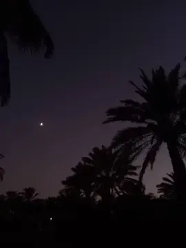 امس لوما عيونج گبال جا صوت الفشگ للصبح ضل عالي