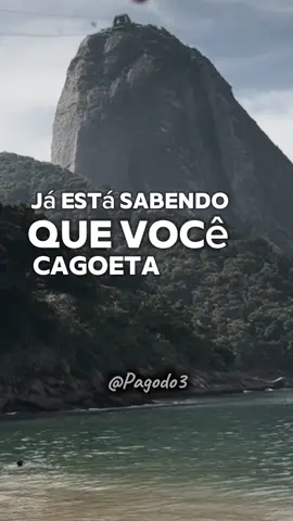 Bezerra da Silva..❤️‍🔥🎶 #bezerradasilva #foryousong #lyricsvideo #pagode #musicas #tipografiasmusicas #tipografia #lyrics_songs #statusmusica #videosmusicais 