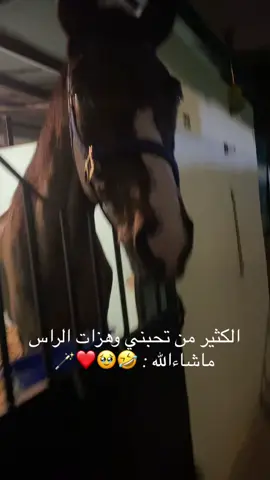 ياربي تبارك الله الخيول نفس الإنسان تحس وعندها مشاعر 🥹🐎❤️مابتخطى  #اكسبلور #حب #الخيل #ماشاءالله #خيل #حصان #اكسبلور #سهم #خياله #🐎  #exblor #عسير # #عشوائيات  #احساس #مشاعر #الخيل #و #الانسان 