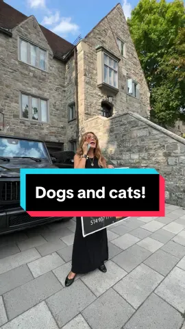 This is why I’m the best real estate agent😂 #tatlondono #millionaire #realestateagent #money #trump #kamalaharris 