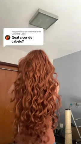 A responder a @Gabriela Leão  Sobre a cor do meu cabelo ruivo: uso henna no comprimento todo, duas ou três vezes por ano #ruiva #henna #hairtok #redhair 