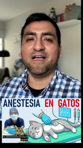 No se pierdan el programa de anestesia en gatos #anestesia #gatos #gato #veterinario #medicina #lavidacongatos #podcast #savesp @dra.gato
