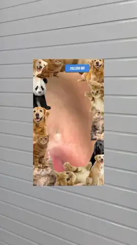 #pimple #Pimple #pimples #pimpleremover #pimplepopper2021 #pimplepopperaddict #pimplepatch #pimpleremoval #pimplepopper2022 #pimples_brufoli #satisfying #Satisfying #satisfyingvideo #satisfyingvideos #satisfyingsounds #satisfyingsound #satisfyingcleans #satisfyingasmr #satisfyingart #satisfyinglips #acne #Acne #acnetreatment #acneskin #acnefighter #acneproneskin #acnescars #acnejourney #acneskincare #acnepatch #Blackhead #blackheads #blackheadsremoval #blackheadsss #blackheadsremover #blackheadsremovalmask #blackheadsextractions #blackheadspopping #blackheadstrip #blackheadsout #blackheadsremove #foryou 