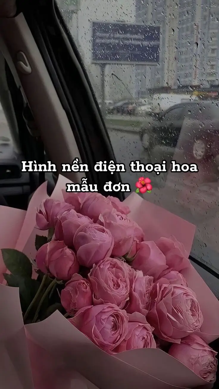 Hình nền điện thoại cho mấy pà chưa bồ nè🥰 #nendienthoai #iphone #viral #thoxinh202 #tiktok 