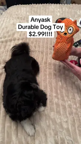 #anyaskdurabledogtoy #anyaskdogtoy #durabledogtoys #inexpensivedogtoy #fallintosavings #dogtoys #doggifts #dogtok #dogsoftiktok #fyp #foryoupage #inexpensivetiktokshopfinds