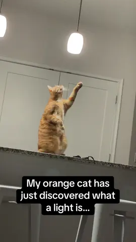 Look at his THUMBS 🥺🤣 #RoadTo15Million #Pubity  (Bianca Vesco via ViralHog)