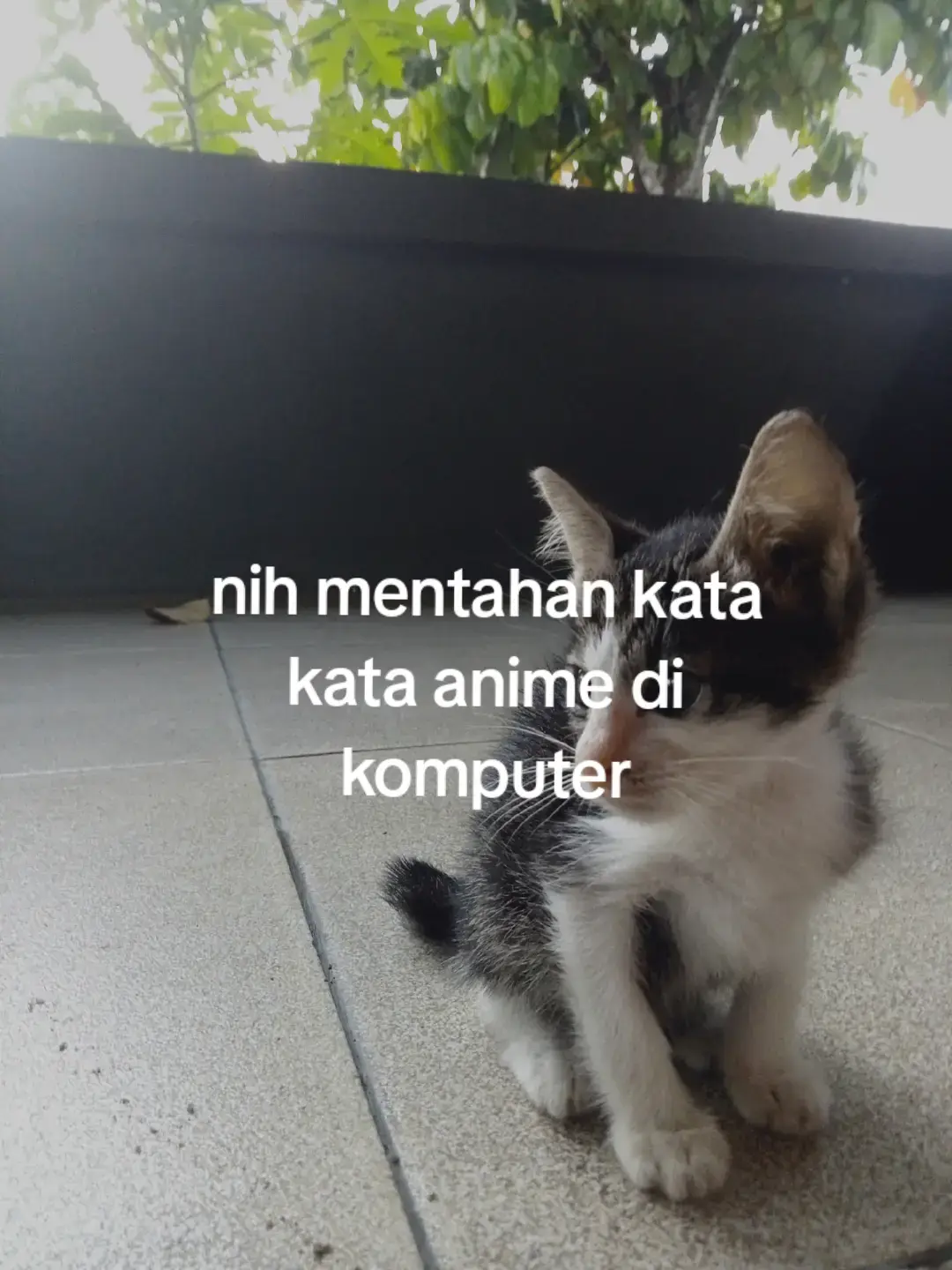 nih mentahan###fypシ #xyzbca #4upageシ #masukbranda #bissmillahfyp 