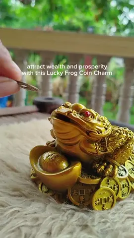 Lucky Frog Coin charm | Three legged toad | #luckycharm #fengshui #luckyfrogcoincharm #fengshuicharm #attractwealth #attractprosperity 