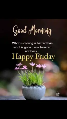 Good morning everyone wishing you all a beautiful day and a fantastic weekend#inspire #motivate #encouragement #inspirationalquotes 