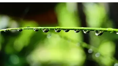 grabe parang naka Dslr ka talaga pag meron ka netong Macro Lens  at 0.45 wide lens #macrolens #mobilelens #cameralens 