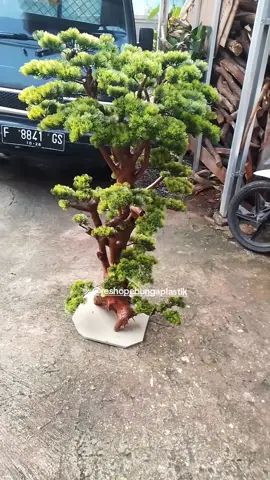 New Product  #viraltiktok #fyp #bungaplastik #tanamanhias #bungahiasplastik #pohonartificial #tanamanpalsu #tanamanplastik #dekorasi #dekorasitaman #dekorasirumah #dekorasirumahminimalis #artificial #tree #pinus #cemara #pohoncemara #pohonpinus 