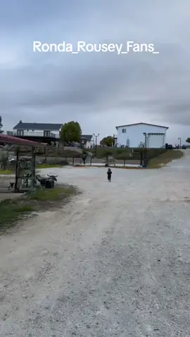 #brazil🇧🇷 #venezuela #rondarouseyfan #mexico #brazil 