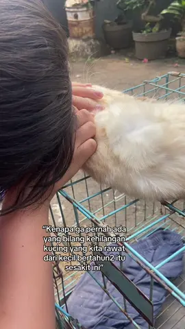 will always miss you darling forever🥀