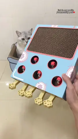 🐾🎉 Looking for the purrfect way to keep your cat entertained for hours?  Check out the Cat Toy Chase Hunt Mouse Game Box 3-in-1! 😻 This fun and interactive toy includes a scratcher, funny cat stick, and a cat hit gophers game – all designed to stimulate your kitty’s hunting instincts and keep them engaged! Your furry friend deserves the best, and this toy offers endless entertainment with its multi-functional features. Whether they're chasing, scratching, or pouncing, it's bound to be their new favourite! 🐱💥 Grab yours today and watch your cat have a blast! 🛒🧡 🐾 #CatLovers #FelineFun #InteractiveCatToys #CatPlaytime #PetProducts #CatsOfInstagram #HappyCats #KittyPlaytime #PetEntertainment #ChaseAndPlay #CatMomLife #CatDadLife 📦 Available now on DHgate: https://tinyurl.com/59sbahpf