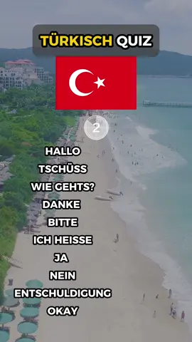 Nützliche Wörter auf Türkisch🇹🇷! #sprachenlernen #quiz #turkish #türkisch #türkei #challenge #fyp 