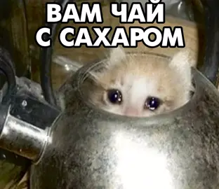 ВАМ ЧАЙ С САХАРОМ? #rhs #озвучка #мемы #озвучкер #студийнаябанда #актер #прикол #прикол #студийнаябанда #ДядяНаклз #постирония #голос #хоррор #яндексалиса 