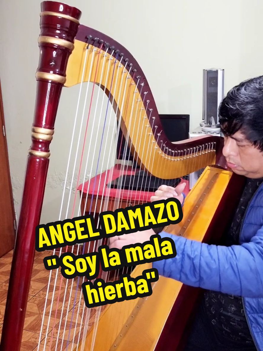 OYÓN - CUNA DEL ARPA 😊🎶 Música del recuerdo #arpa #viralvideos #musica #parati #JAM #HEV #peru #pasionporlamusica🎤🎵♥️ 