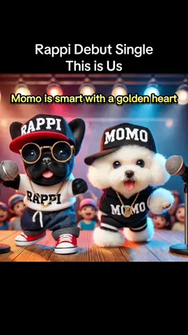 Rappi debut single to tell you everything about Momo & Sasa Pet Universe! #pets #PetsOfTikTok #dogs #cats #funny #rap 