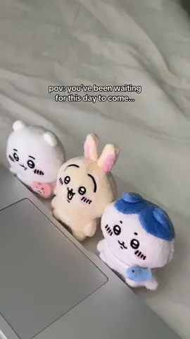 @Miniso Canada Chiikawa is finally here in Canada! Thank you Miniso for bringing them here 🥺 Us Canadian Chiikawa fans are super grateful 🩷 #chiikawa #miniso #minisochiikawa #plushies 