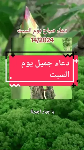 دعاء صباح يوم السبت دعاء يوم السبت بصوت جميل دعاء يوم السبت الصباح دعاء يوم السبت سنه 2024 دعاء يوم السبت صباحا دعاء يوم السبت لشفاء مريض دعاء يوم السبت دعاء الصباح دعاء يوم السبت لاحبتي دعاء يوم السبت صباح الخير دعاء يوم السبت 25 5 2024 دعاء يوم السبت حالات واتساب دعاء يوم السبت بصوت ميثم التمار الدعاء يوم السبت دعاء يوم السبت بتاريخ دعاء يوم السبت مكتوب دعاء يوم السبت ١٣ من رمضان دعاء يوم السبت للشيعة دعاء يوم السبت لا ابو الفضل العباس دعاء يوم السبت لي لأولادي وبناتي طاب صباحكم دعاء يوم السبت دعاء يوم السبت الفجر دعاء يوم السبت مستجاب اي دعاء يوم السبت دعاء يوم السبت الصباحي دعاء يوم السبت ظهر دعاء يوم السبت دعاء يوم السبت اريد دعاء يوم السبت دعاء يوم السبت السبت أجمل دعاء يوم السبت دعاء يوم السبت عند الشيعة دعاء يوم السبت عامر الكاظمي دعاء يوم السبت عن الفرج دعاء يوم السبت عن رزق دعاء يوم السبت عن من احب دعاء يوم السبت إلى العباس دعاء يوم السبت جديد دعاء يوم السبت 15 اجمل دعاء يوم السبت صباح الخير دعاء يوم السبت دعاء يوم السبت جميل دعاء يوم السبت المساء دعاء يوم السبت العرفه دعاء يوم السبت الشيعة دعاء يوم السبت المغرب دعاء يوم السبت اشفي كل مريض دعاء يوم السبت القادم دعاء يوم السبت اخي الغالي دعاء يوم السبت 30 10 دعاء يوم السبت 2024 2 3 دعاء يوم السبت 24 5 2024 دعاء يوم السبت 27 نيسان دعاء يوم السبت 2022 دعاء يوم السبت 8 1 2022 #دعاء #يوم #السبت #دعاء_يوم_السبت #دعاء_يوم_السبت🤲  #دعاء_صباح_يوم_السبت #دعاء_الصباح #دعاء_الصباح #دعاء_يريح_القلوب #صباح #صباح_الخير #ادعيه #ادعيه_اذكار_تسبيح_دعاء_استغفار #اللهم_صلي_على_نبينا_محمد #اللهم #CapCut 
