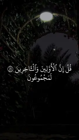تلاوة من سورة الواقعة للقارئ الشيخ ياسر الدوسري  . . . . . . #quran #fyp #quran #allah #viral #islam #quranrecitation #foryou #muhammad #muslim  #maroc #maroc #algeria #tunisia #egypt #ksa #uae #world #muslimtiktok #قران_كريم #قرآن #يارب #ياسر_الدوسري 