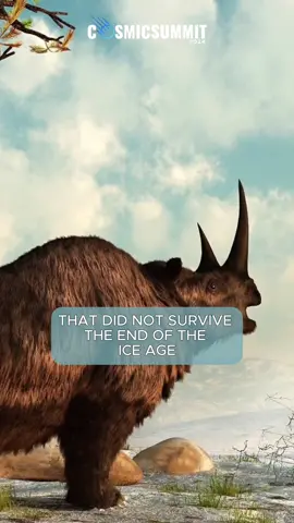 There were over 100 species of megafauna that did not survive the end of the ice age. 12 to 13 thousand years ago you had several species of elephants inhabiting what we now know as Tennessee. What happened to these elephant species? Was it really hunters putting them into extinction? Or does finding them frozen in permafrost give us clues to a different story?
