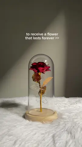 One of the most perfect gifts that has ever existed ✨ #ledlightrose #ledlightroseartificialglassdome #artificialflowers #giftforher #giftideas #flowerthatlastsforever 