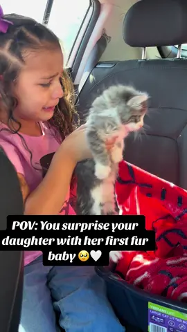 “I’ve always wanted one” 🥹😭  #viral #fy #fypシ゚viral #fyp #furbaby #kitten 